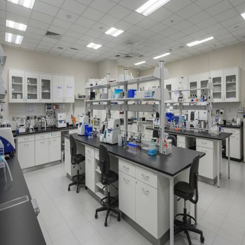 Why Modular Lab Furniture Is the Best Investment for Growing Facilities